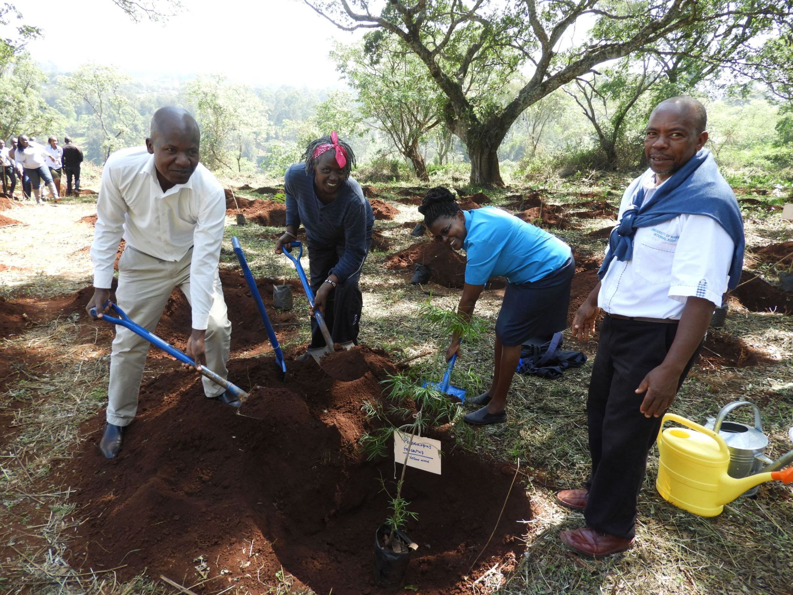 7000-seedlings-planted-on-annual-tree-planting-and-growing-day